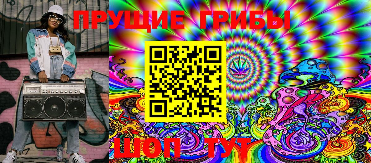 Псилоцибиновые грибы Psilocybe Холмск