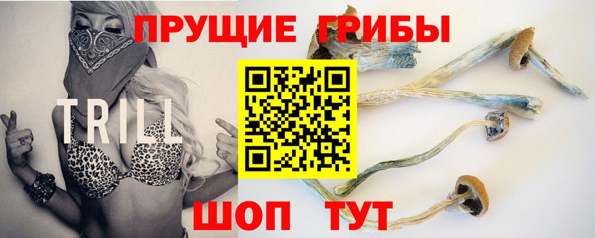 Холмск  где купить наркоту  Вход с VPN  Псилоцибиновые грибы MAGIC MUSHROOMS  Псилоцибиновые грибы мухоморы 
